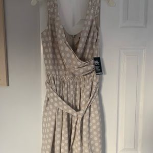 Express Polka Dot Dress